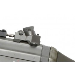 SG552 G&G + 2 Magazine 30Rds G&G