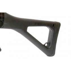 SG552 G&G + 2 Magazine 30Rds G&G