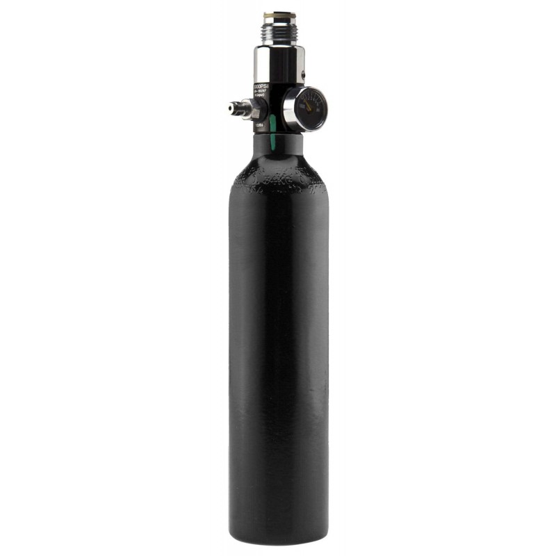 0.2L Dye Aluminum Bottle with 3000 psi regulator