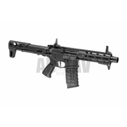 ARP 556 2.0 Black G&G