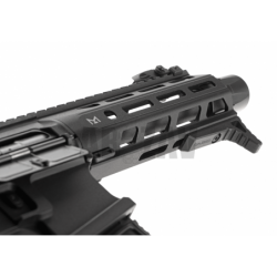 ARP 556 2.0 Black G&G