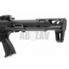 ARP 556 2.0 Black G&G