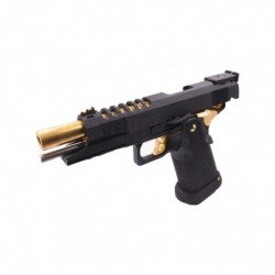 HX2701 5.1 Black Gold Gas AW Custom