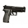 P226 Spring Gun Black KWC