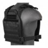 Lightweight Carrier Plate Black Lancer Tactical