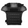 Lightweight Carrier Plate Black Lancer Tactical