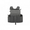 6094A-RS Plate Carrier Wolf Grey Invader Gear